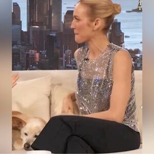 House of Harlow 1960 Silver Sequin Top